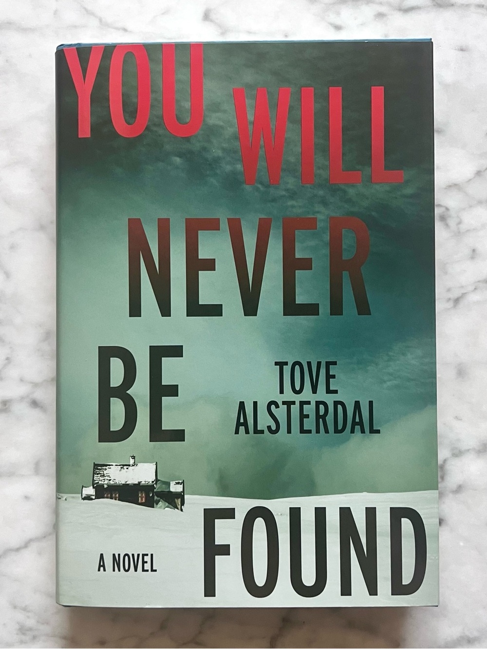 You Will Never Be Found by Tove Alsterdal First Edition Hardcover Book Thriller